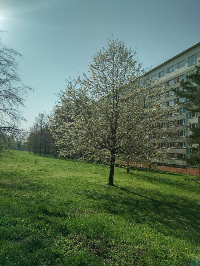 Flat Lesna Brno Daire Dış mekan fotoğraf